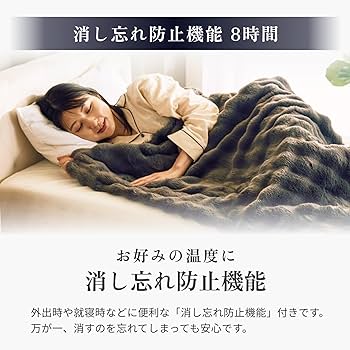 【とろける手ざわり】QUADS 電気毛布 トロン エコ 省エネ  ダニ退治機能 toron 電気毛布 | 株式会社 QUADS – クワッズ